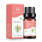 10ML Natural Plant Essential Oil Air Freshener