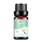 10ML Natural Plant Essential Oil Air Freshener