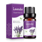 10ML Natural Plant Essential Oil Air Freshener
