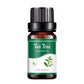 10ML Natural Plant Essential Oil Air Freshener